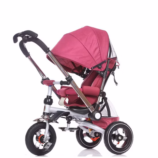 El mejor primer triciclo para niños El mejor triciclo para niños de 4 años Los mejores triciclos para niños pequeños El mejor triciclo para niños de 4 años El mejor triciclo para niños El mejor triciclo para un niño de 2, 3 y 5 años